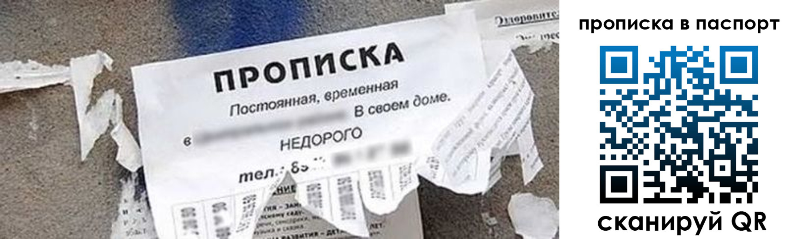 где прописаться в Мариинском Посаде